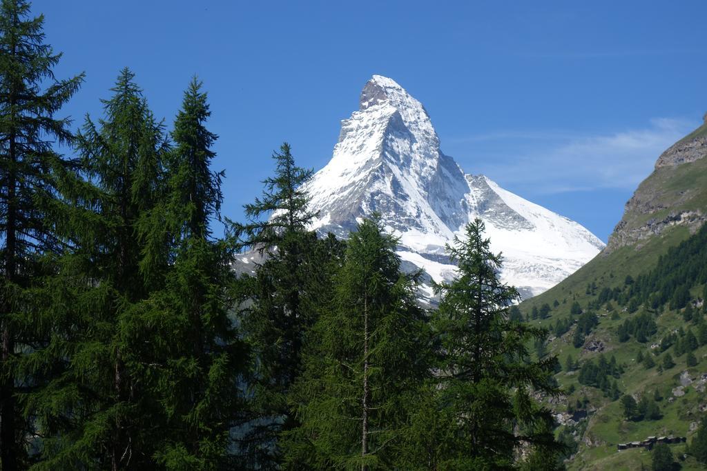 Studio Collinetta Zermatt Værelse billede